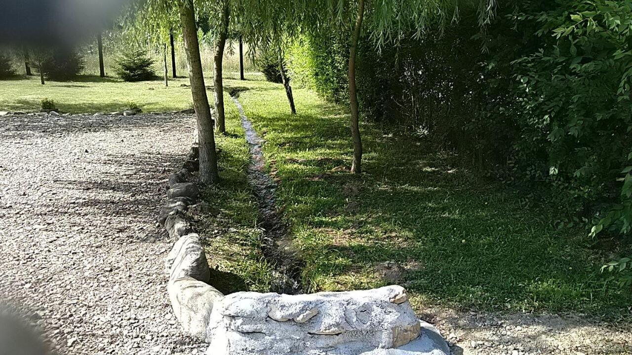 Pensiunea Maya Симбета-де-Сус Екстер'єр фото
