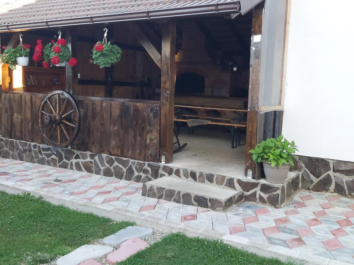 Pensiunea Maya Симбета-де-Сус Екстер'єр фото