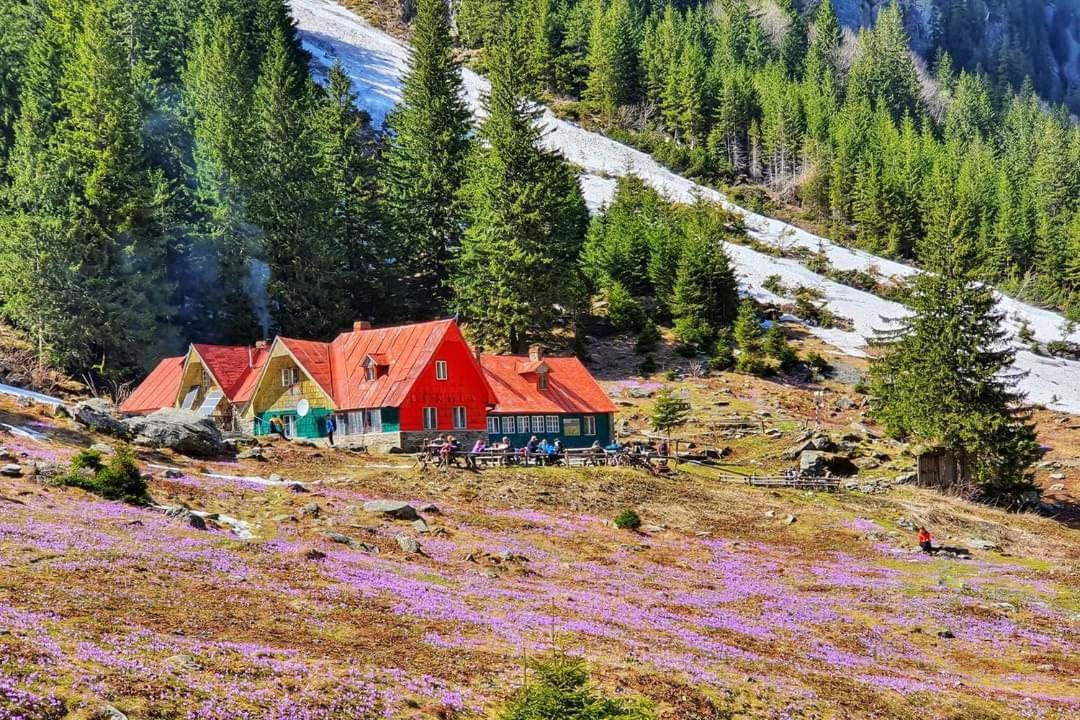 Pensiunea Maya Симбета-де-Сус Екстер'єр фото